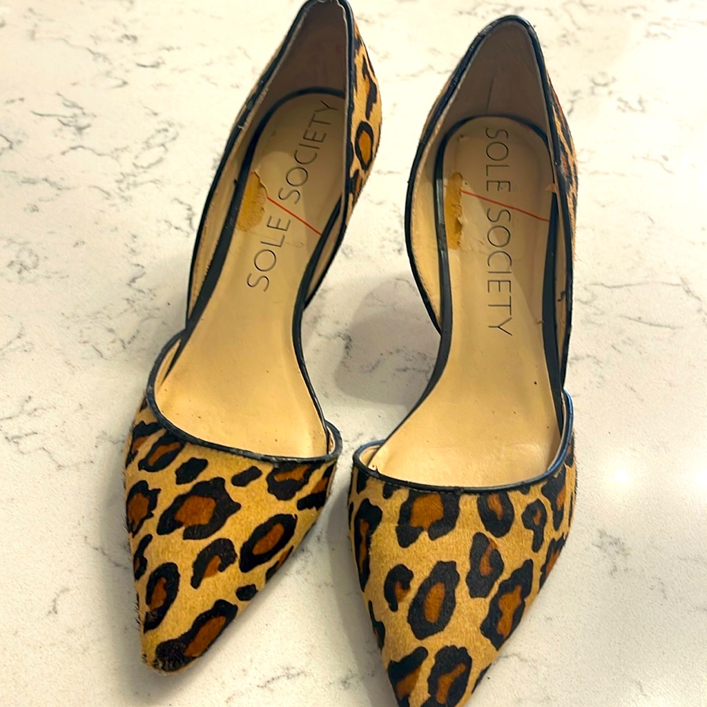 Pointed Toe Pump